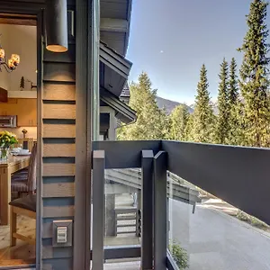 Northern Lights 21 Whistler